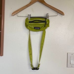 Patagonia Lightweight Travel Mini Belt Bag